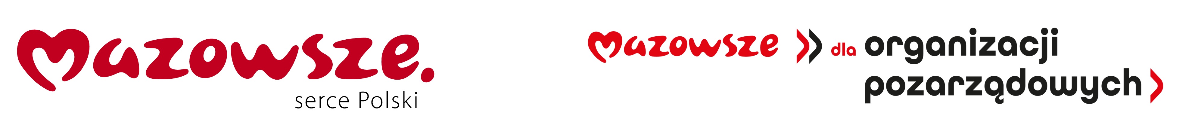 Logo Mazowsze  finansującej organizację szkolenia